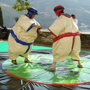 Lutadores de Sumo<br>159€