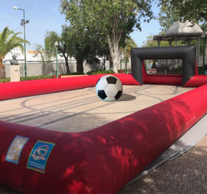 Arena de Futebol <br> 349€